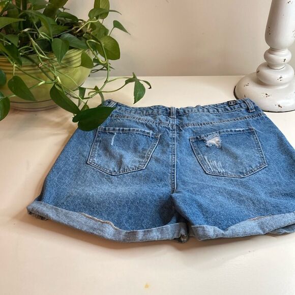 Cute Distressed Button Fly Denim shorts - Picture 10 of 11